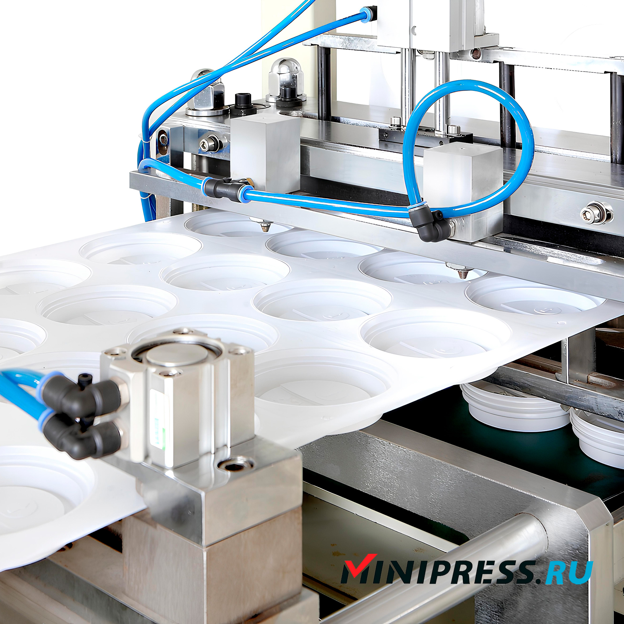 Blistereuse pour la production de contenants en plastique Corex NK-42