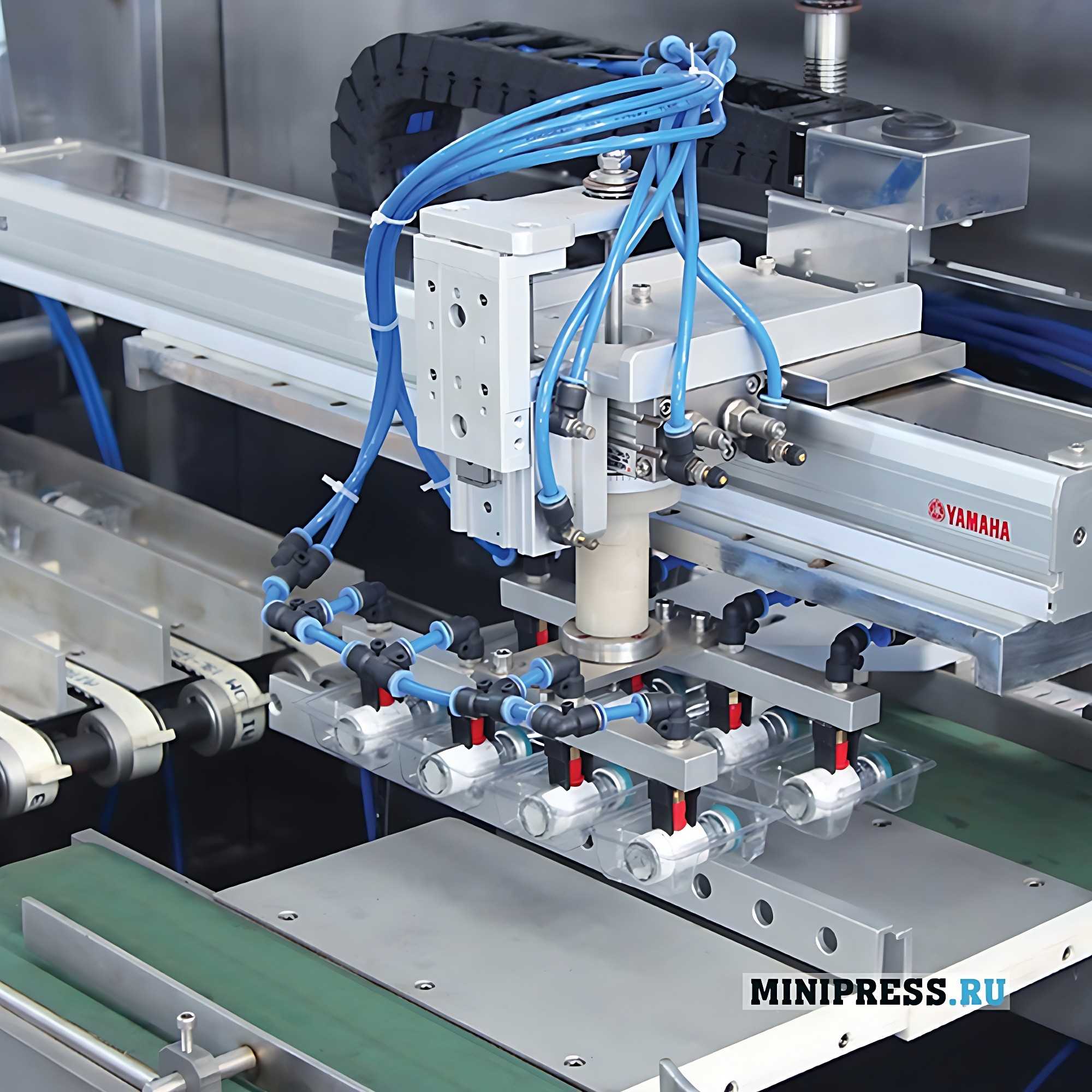 Automatic Production Line for Packaging Ampoules / Vials of ZHM 250D